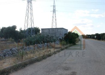 IMG_4953.JPG - Terreno edificabile Strada Statale 16 Uscita Zona Industriale, Monopoli - foto 4