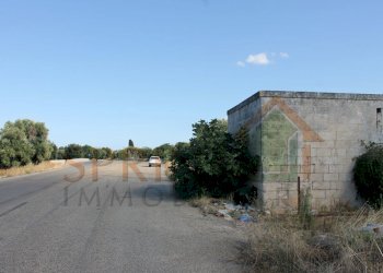 IMG_4955.JPG - Terreno edificabile Strada Statale 16 Uscita Zona Industriale, Monopoli - foto 6