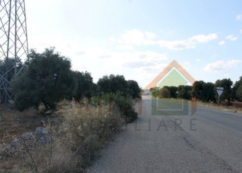 IMG_4957.JPG - Terreno edificabile Strada Statale 16 Uscita Zona Industriale, Monopoli - foto 8