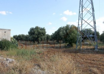 IMG_4958.JPG - Terreno edificabile Strada Statale 16 Uscita Zona Industriale, Monopoli - foto 9