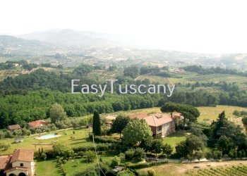 16261889.jpg - Casale Capannori - foto 1