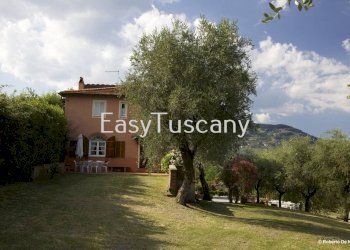 19095037.jpg - Casale Capannori - foto 13