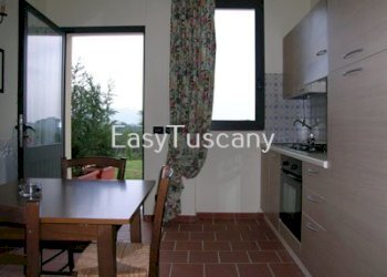 app_maurino02.jpg - Casale Capannori - foto 26