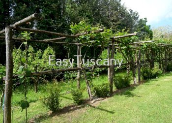 DSC02597.JPG - Villa Capannori - foto 3