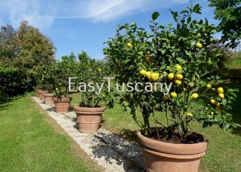 DSC02599.JPG - Villa Capannori - foto 5