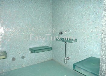 DSC02619.JPG - Villa Capannori - foto 19