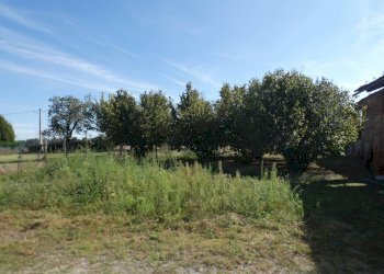 Terreno - Rustic Mondovì - photo 2