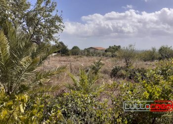 Casa indipendente CONTRADA GUARDIOLA, Scicli - foto 18