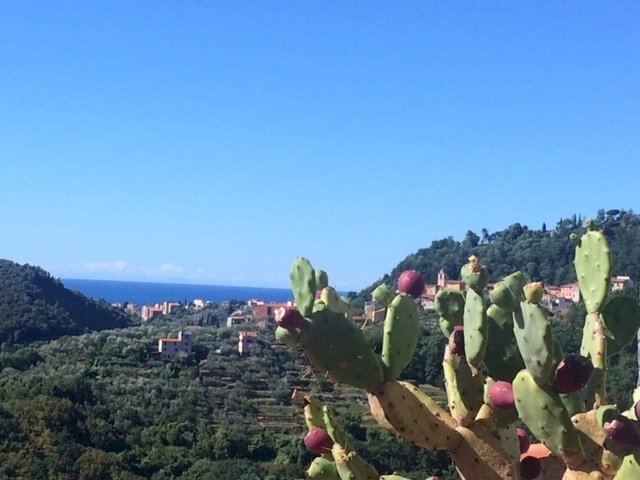 IMG_2501.JPG - Appartamento Arcola - foto 3