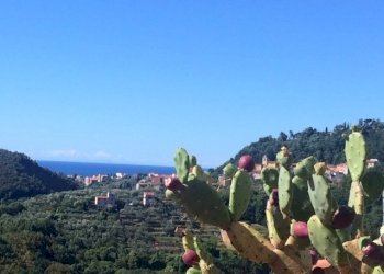 IMG_2501.JPG - Appartamento Arcola - foto 3