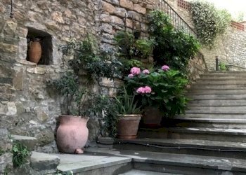 IMG_4618.jpg - Appartamento Arcola - foto 4