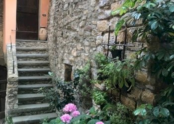 IMG_4617.jpg - Appartamento Arcola - foto 7