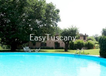 IMG_4271.JPG - Casale Capannori - foto 2