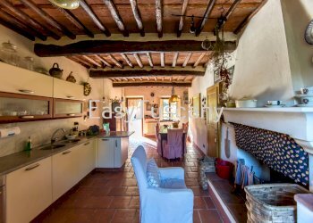 camigliano_12.JPG - Casale Capannori - foto 6