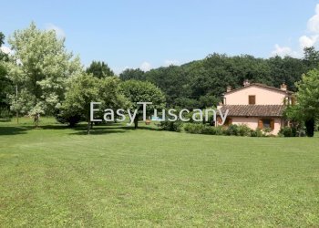 IMG_4263.JPG - Casale Capannori - foto 22