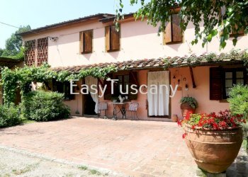 IMG_4270.JPG - Casale Capannori - foto 25