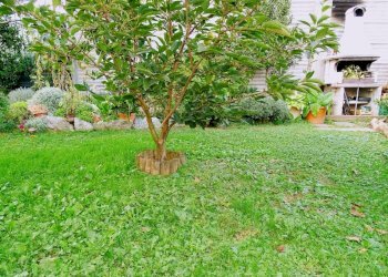 Villa Rivalta di Torino - foto 18