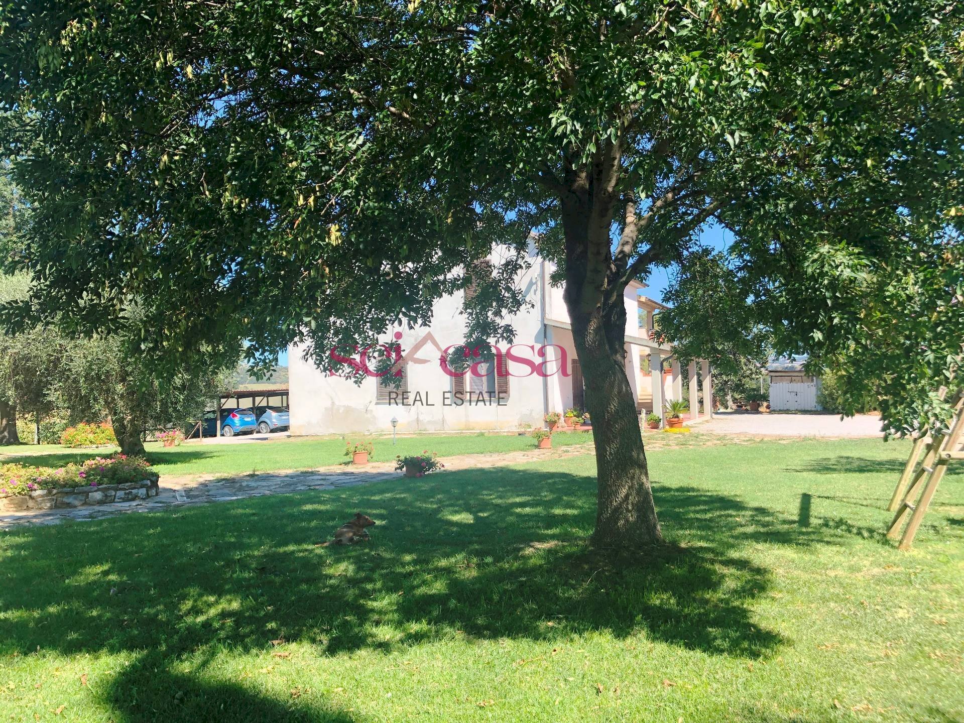 Agriturismo Magliano in Toscana - foto 3