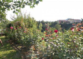 Rustico via Capoluogo, 61, Santo Stefano Roero - foto 4