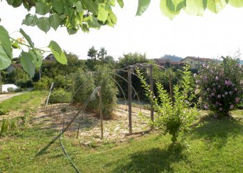Rustico via Capoluogo, 61, Santo Stefano Roero - foto 9