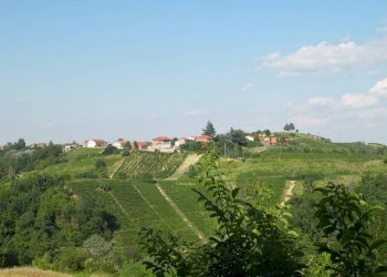 Rustico via Capoluogo, 61, Santo Stefano Roero - foto 13