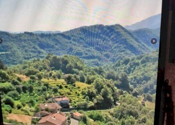 IMG-20200923-WA0006.jpg - Terratetto - Terracielo Fivizzano - foto 16