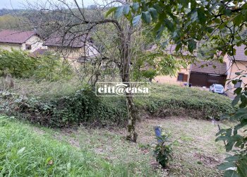 Terreno edificabile San Sebastiano da Po - foto 3