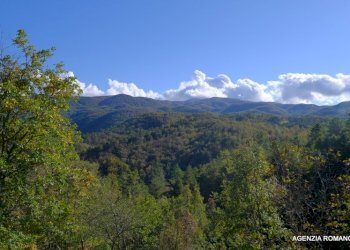 10-DSCF1423.JPG - Rustico SP7 10, Sassello - foto 7