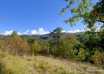 53-DSCF1466.JPG - Rustico SP7 10, Sassello - foto 10