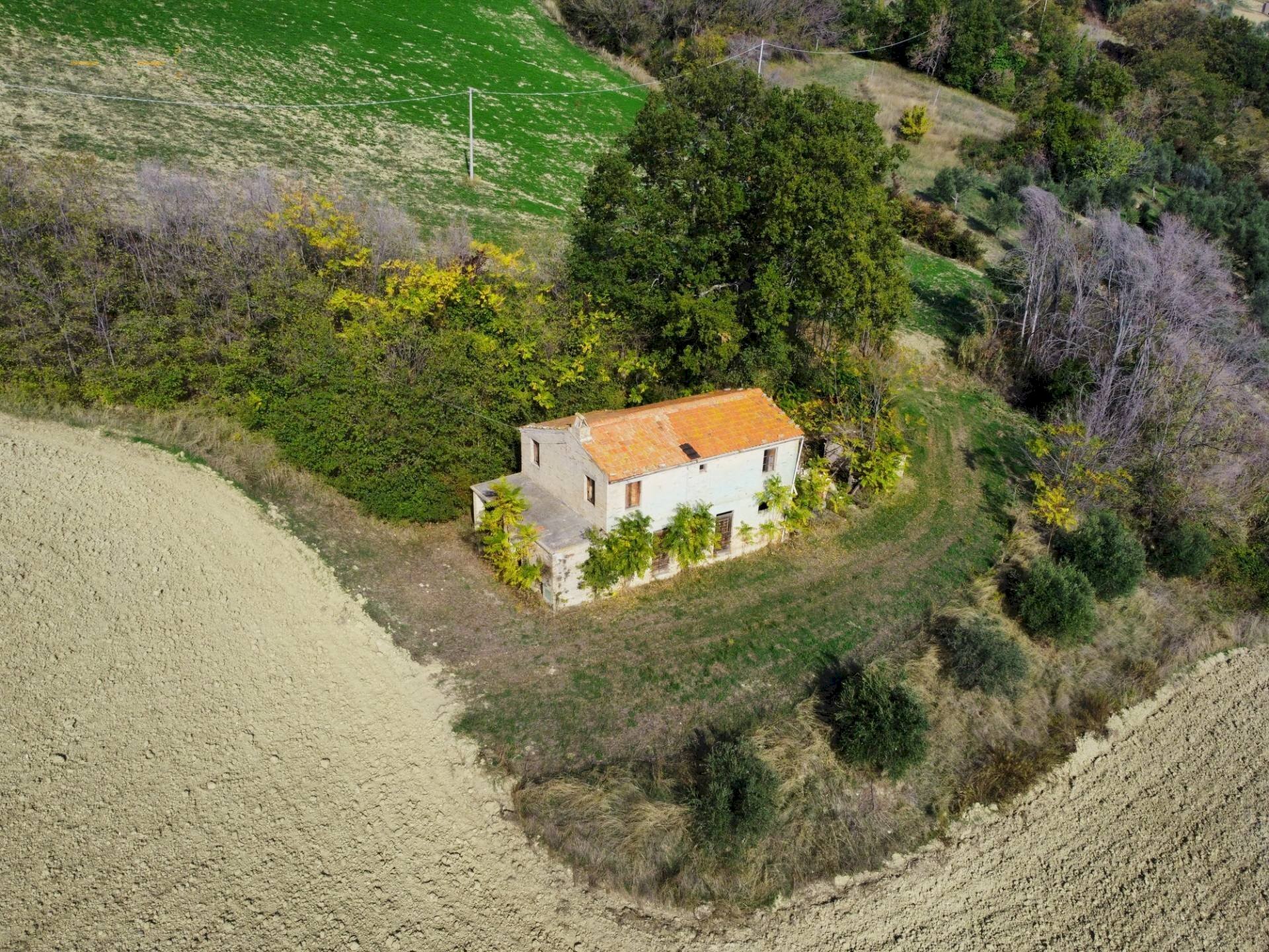 Rustic Monterubbiano - photo 2
