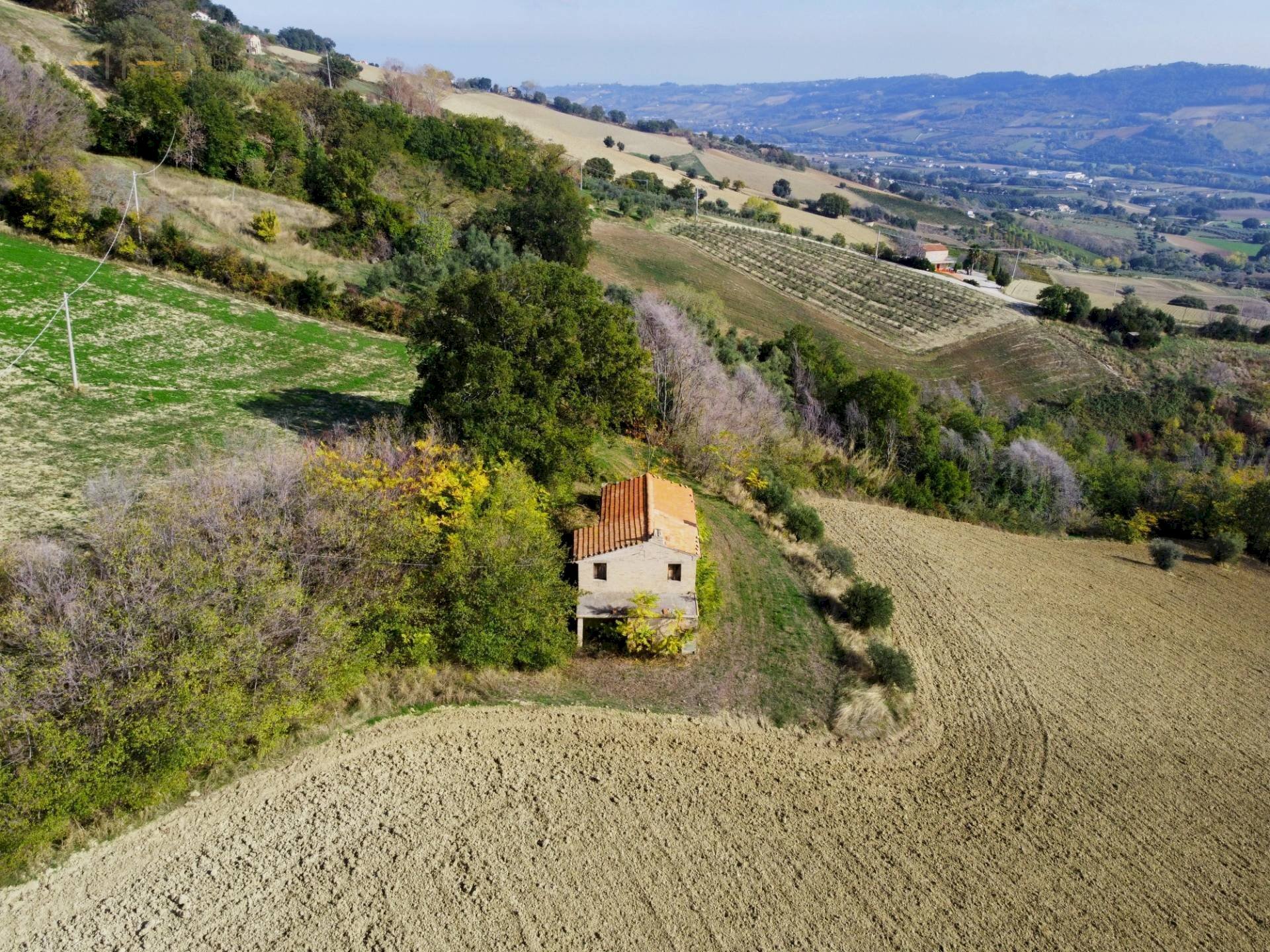 Rustic Monterubbiano - photo 3
