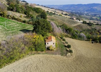 Rustico Monterubbiano - foto 3