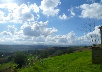 Rustico Monterubbiano - foto 4