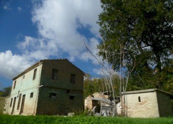 Rustico Monterubbiano - foto 5