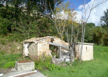 Rustico Monterubbiano - foto 6