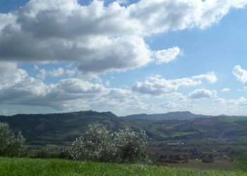 Rustico Monterubbiano - foto 8