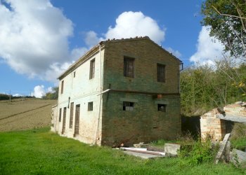 Rustico Monterubbiano - foto 13