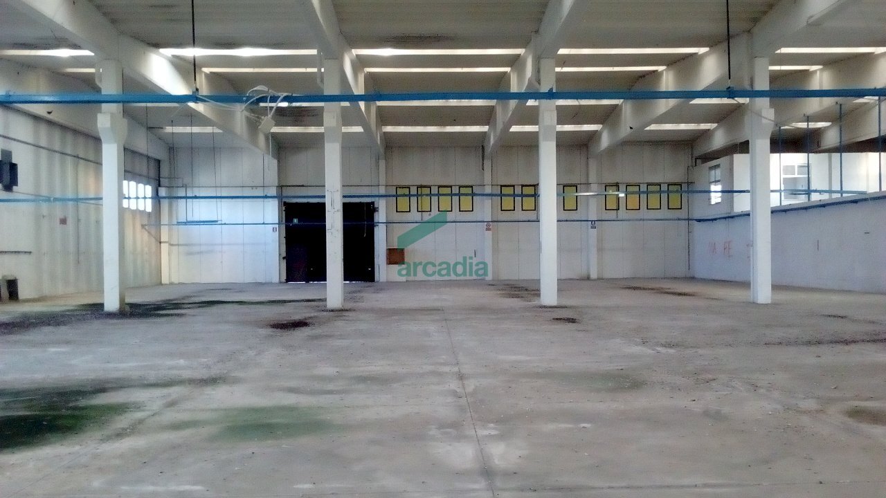 Interno capannone - Locale Commerciale SP231 KM 3, 800, Modugno - foto 1