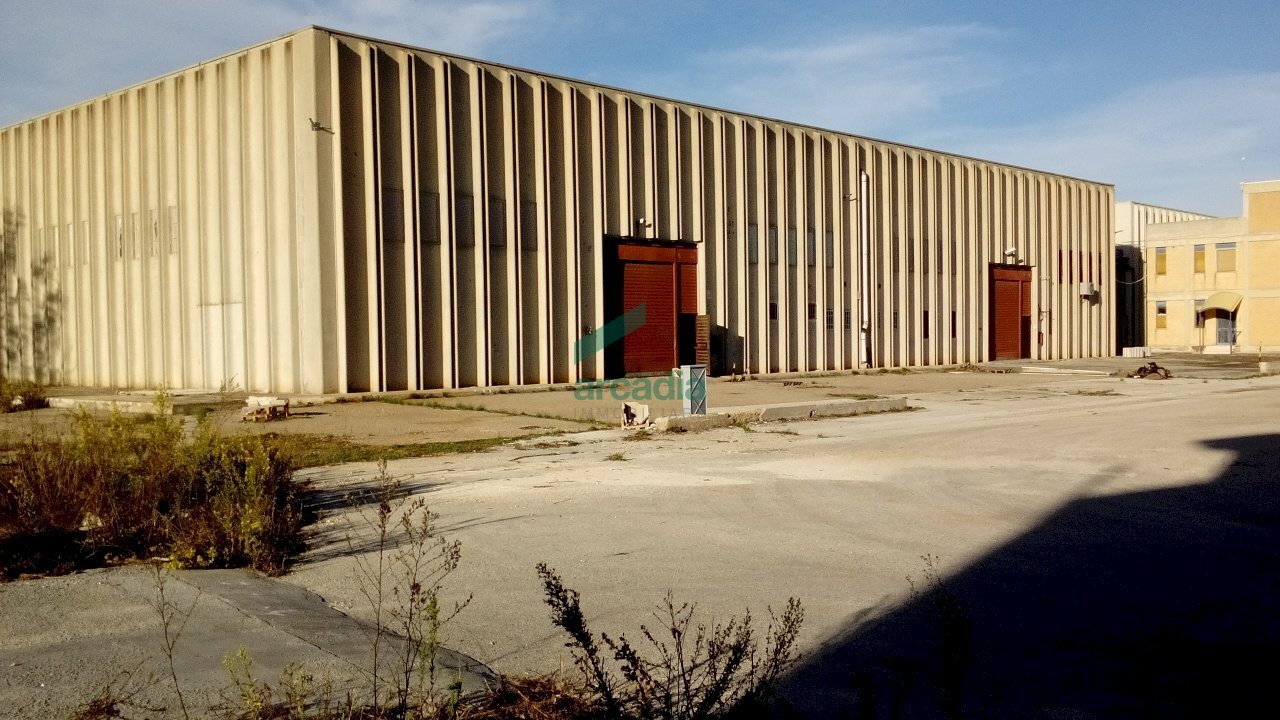 Vista esterna fronte capannone - Locale Commerciale SP231 KM 3, 800, Modugno - foto 3