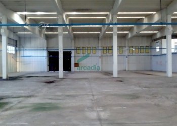 Interno capannone - Locale Commerciale SP231 KM 3, 800, Modugno - foto 7