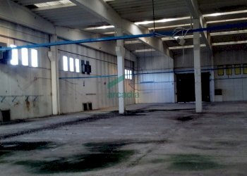 Interno capannone - Locale Commerciale SP231 KM 3, 800, Modugno - foto 15