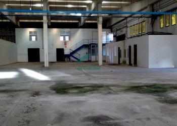 Interno capannone - Locale Commerciale SP231 KM 3, 800, Modugno - foto 18