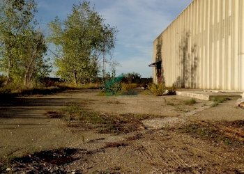 Vista laterale capannone - Locale Commerciale SP231 KM 3, 800, Modugno - foto 21