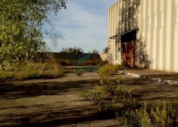 Vista portone laterale capannone - Locale Commerciale SP231 KM 3, 800, Modugno - foto 22