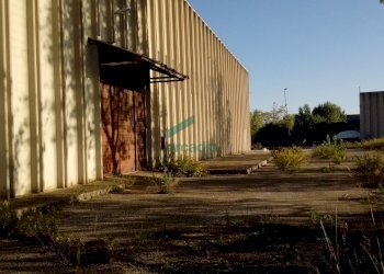 Vista portone laterale capannone - Locale Commerciale SP231 KM 3, 800, Modugno - foto 23