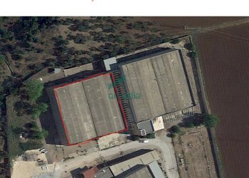 Vista alta capannone - Locale Commerciale SP231 KM 3, 800, Modugno - foto 29