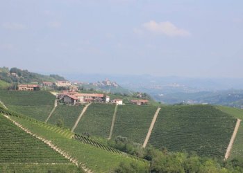 vista - Rustico Località San Giuseppe, Monforte d'Alba - foto 19