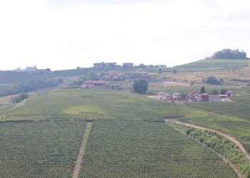 vista - Rustico Località San Giuseppe, Monforte d'Alba - foto 20