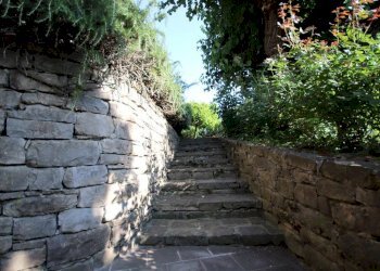 esterni - Rustic Frazione Rivalta, La Morra - photo 6