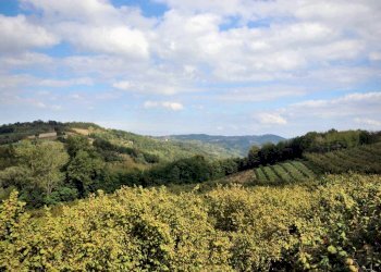 vista panoramica - Rustico via Langa, Lequio Berria - foto 20